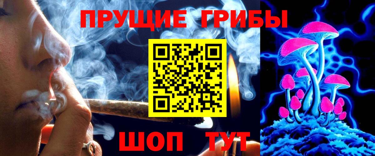 Галлюциногенные грибы GOLDEN TEACHER Красноармейск