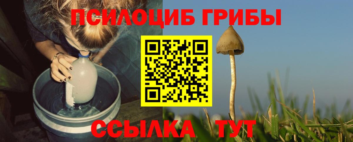 Красноармейск  Псилоцибиновые грибы Magic Shrooms  Галлюциногенные грибы Psilocybe  сколько стоит  Вход с VPN 